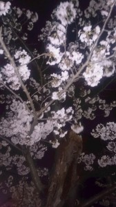 HANAMI！