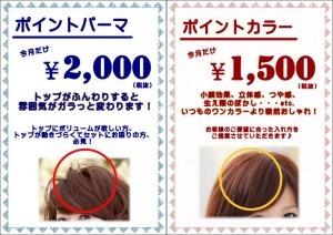 本八幡で1番人気のキャンペーン実施中！