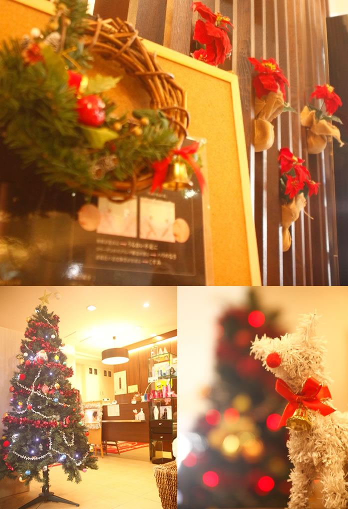Ash 学芸大学店 クリスマスディスプレイ