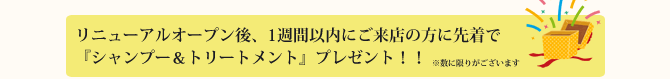 Ash 三鷹店