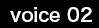 voice02