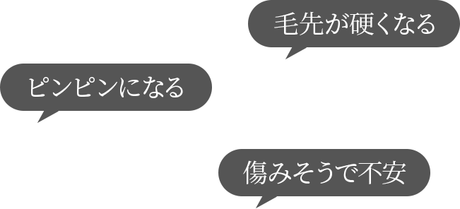 「ピンピンになる」「毛先が硬くなる」「傷みそうで不安」