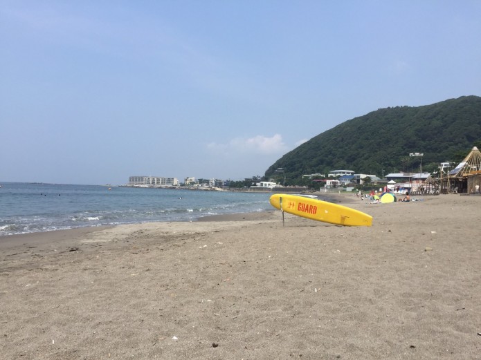 海