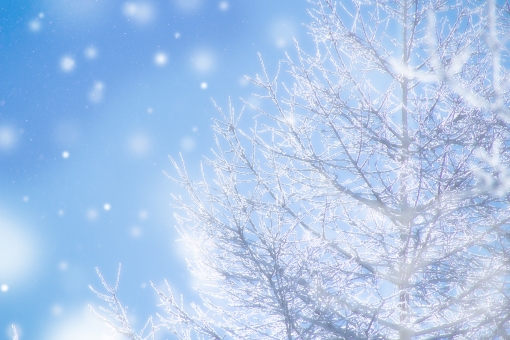 c931aa97a20c3cf025fc22e27a7d20eb_t