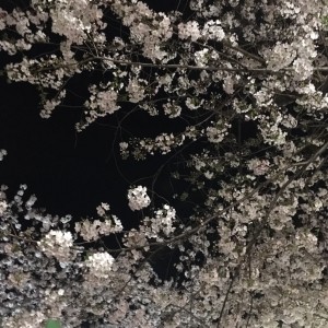 S__14868662
