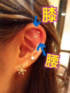 みみ