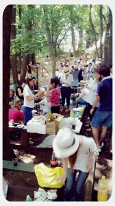 C360_2015-08-13-12-16-28-445