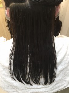 ｓｈ3