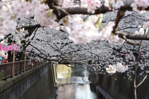 IMG_8378