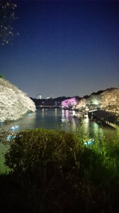 IMG_8423