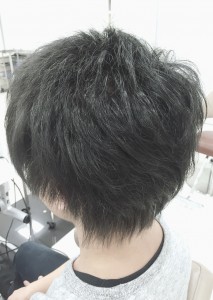 ash161115_1549up-683x1024