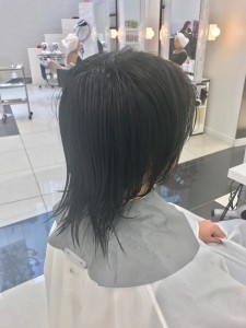 FullSizeR