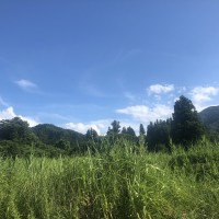 img_3019.jpg