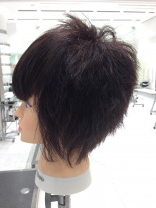 image2.JP