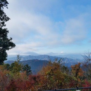 20181127_081516