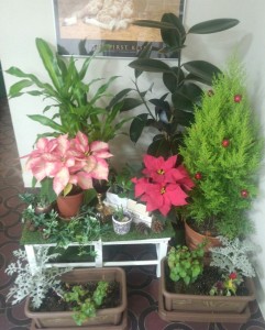 １植物