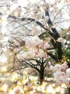 BeautyPlus_20150330220945_save