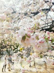 BeautyPlus_20150330221027_save