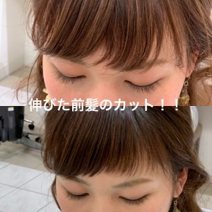 image1.jpeg31