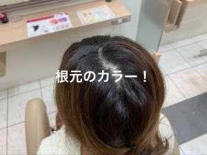 image2.jpeg6