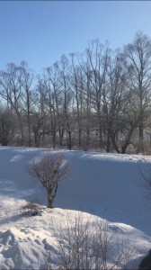 IMG_0474