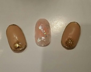 しぇる　大人