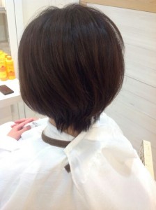 イルミナ1