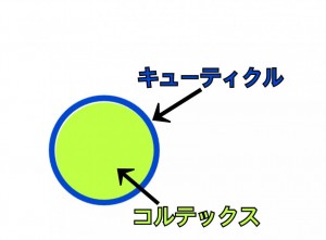 005A2F9A-0DE3-432A-83F1-346A112B55A3
