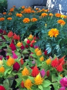 花