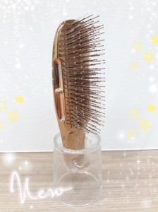 ブラシ1