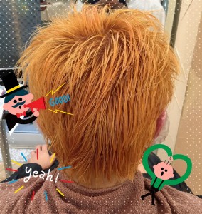 ダブルカラーけいくん