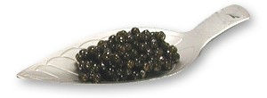 caviar-0414-005-2