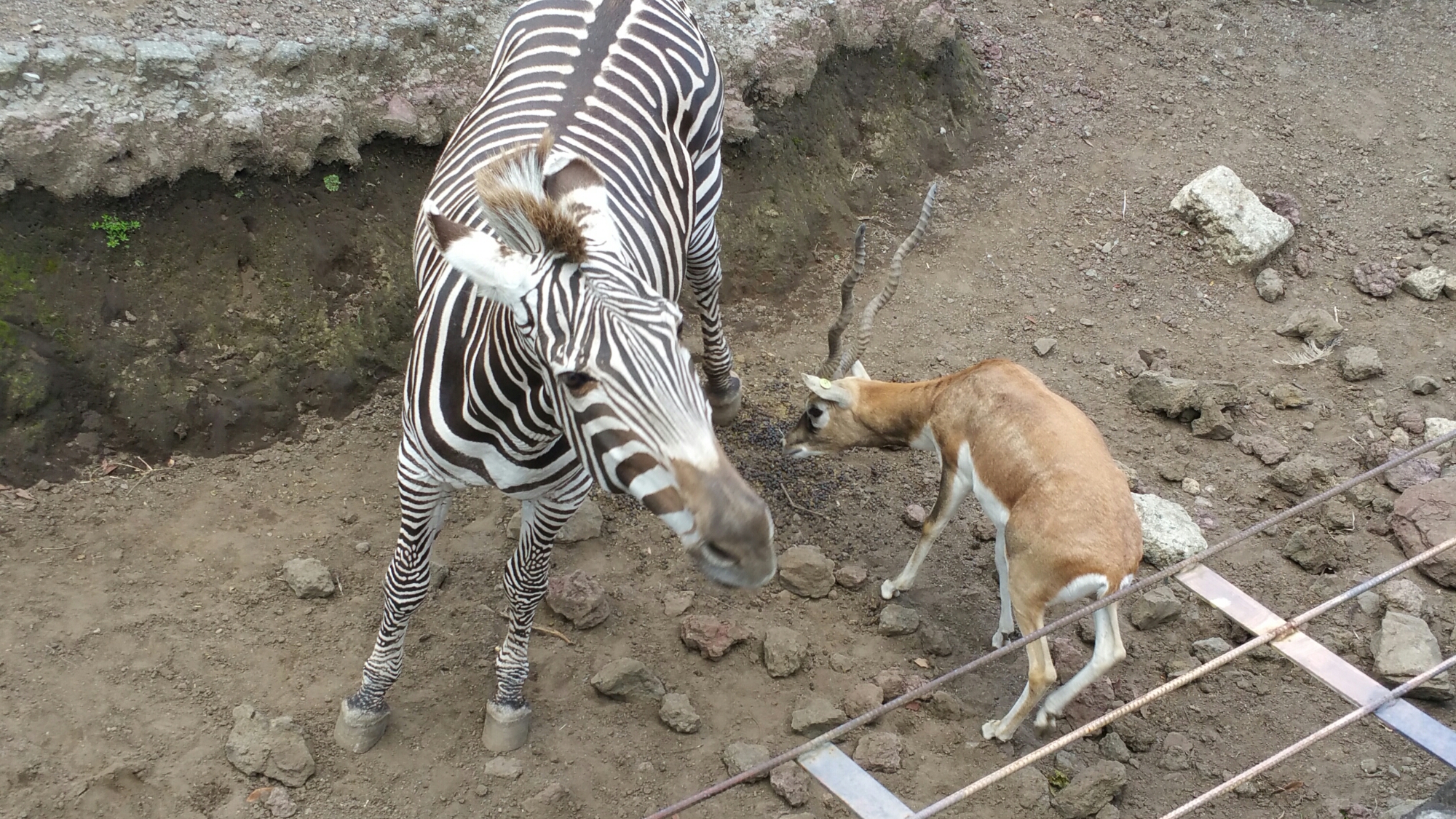 20150722_104351.jpg image