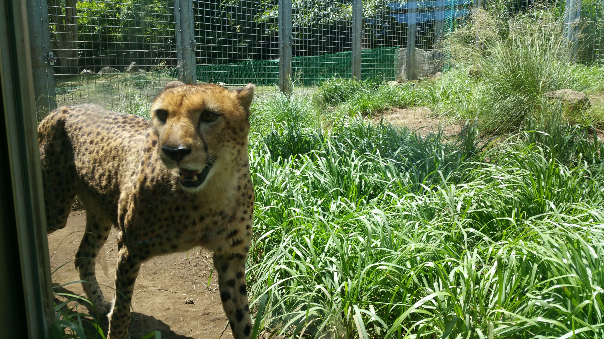 20150722_105009.jpg image