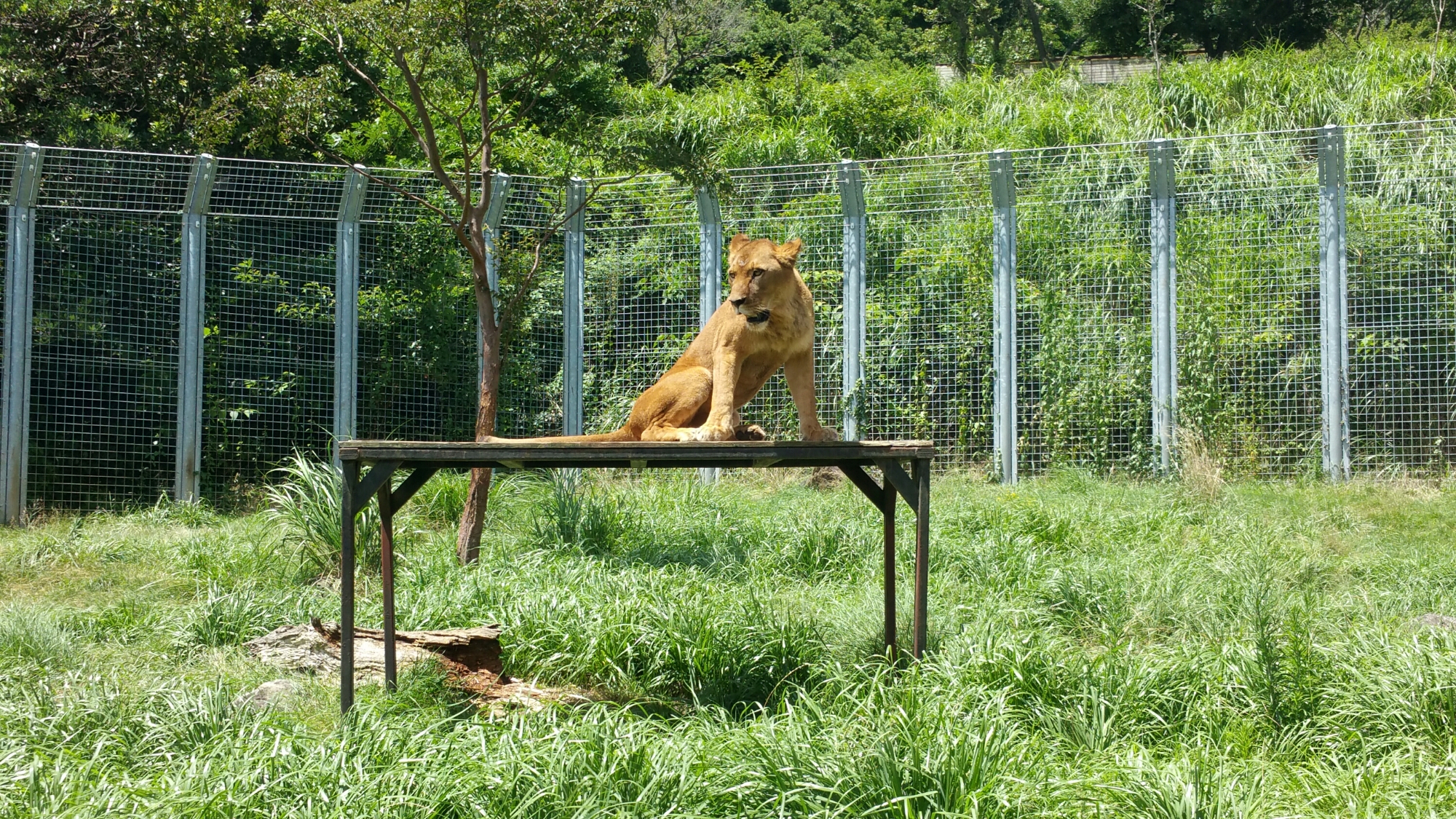 20150722_105312.jpg image