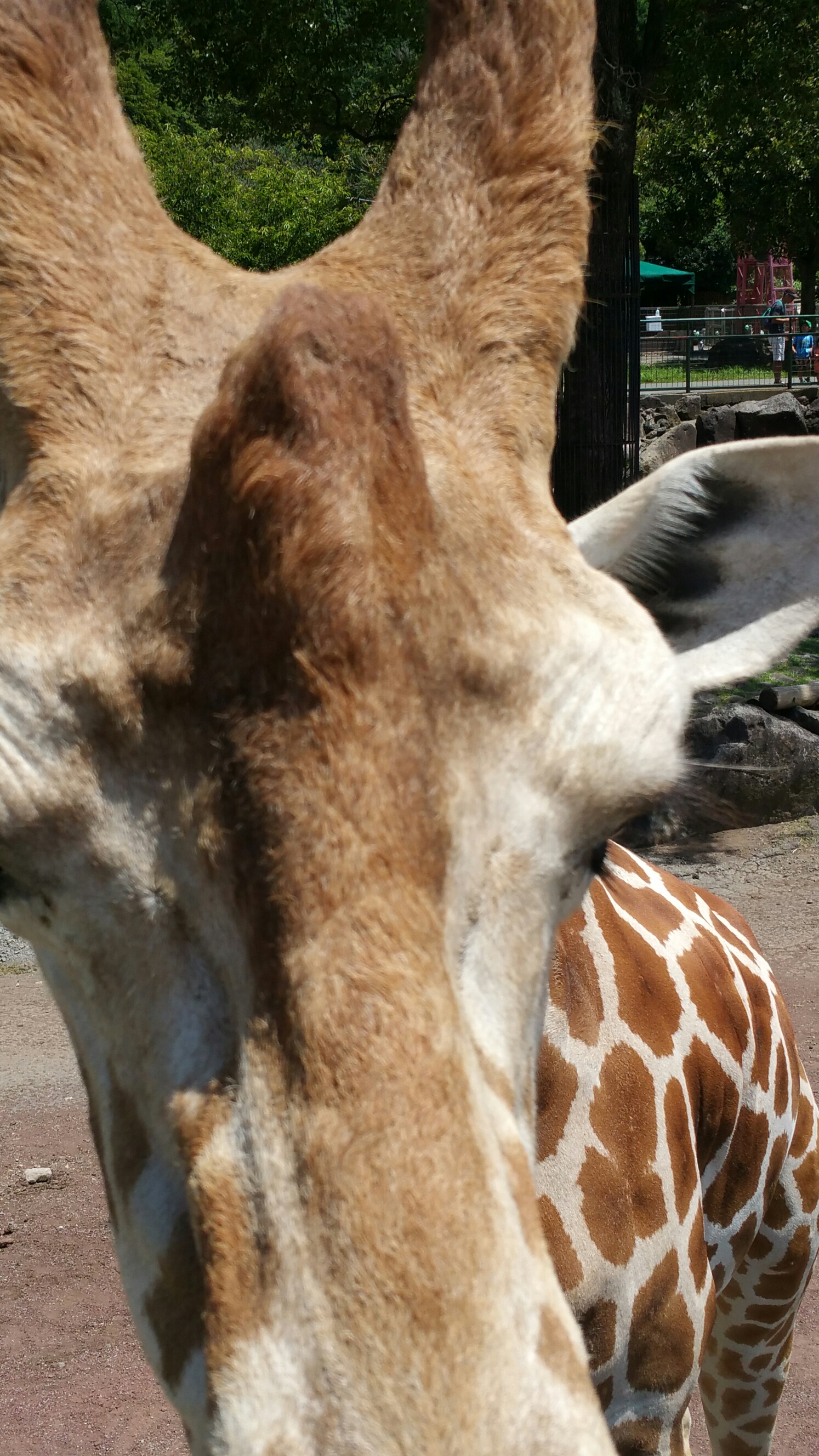 20150722_105830.jpg image