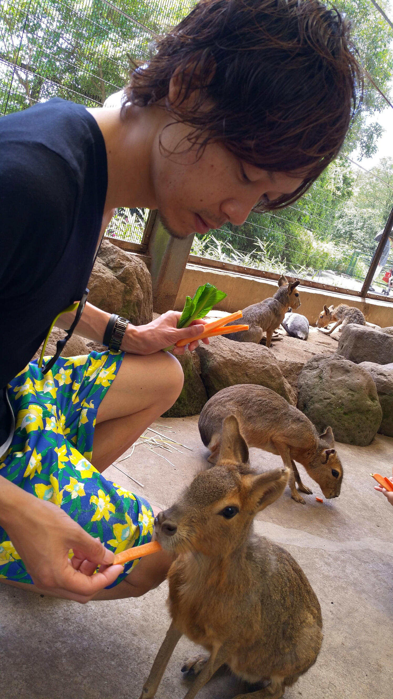 20150722_111209.jpg image