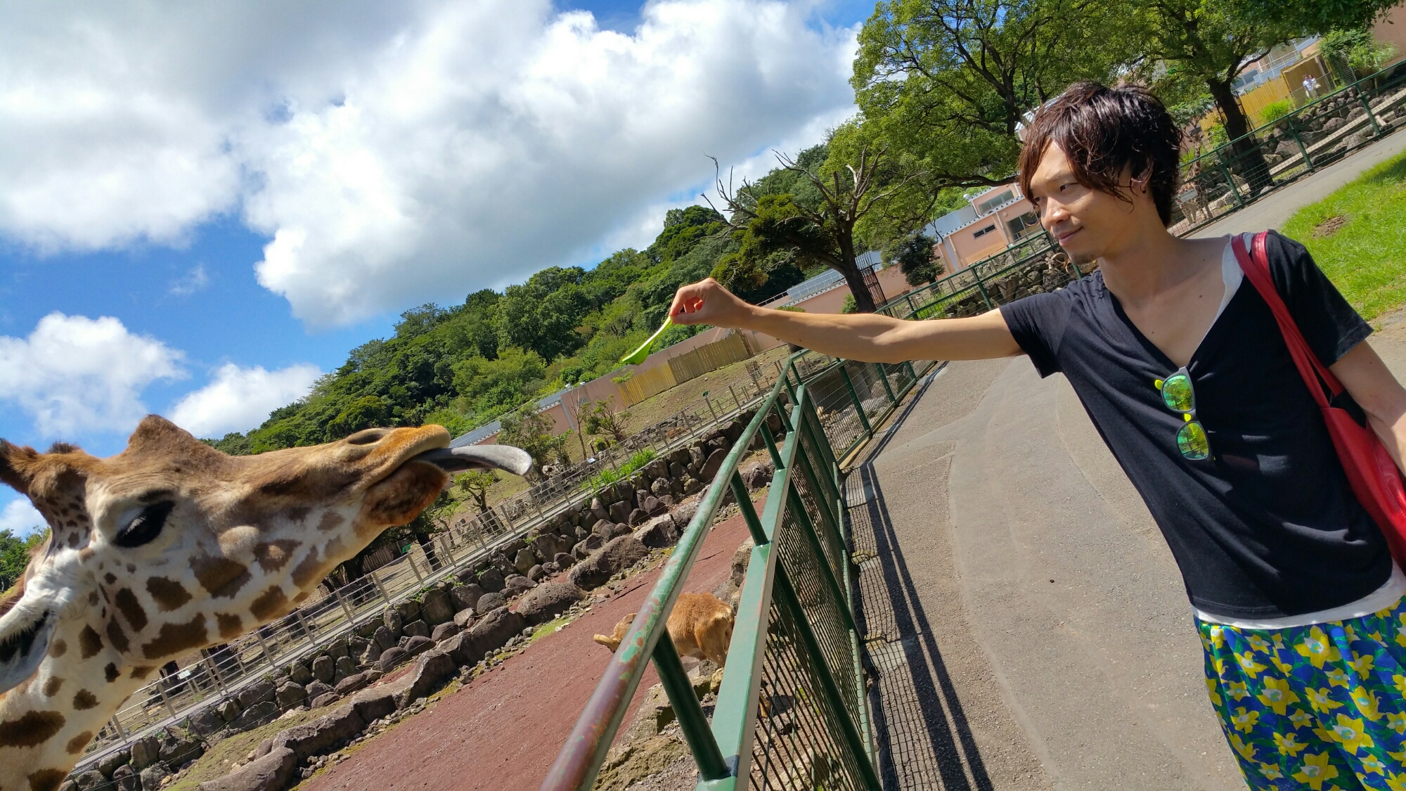 20150722_112305.jpg image