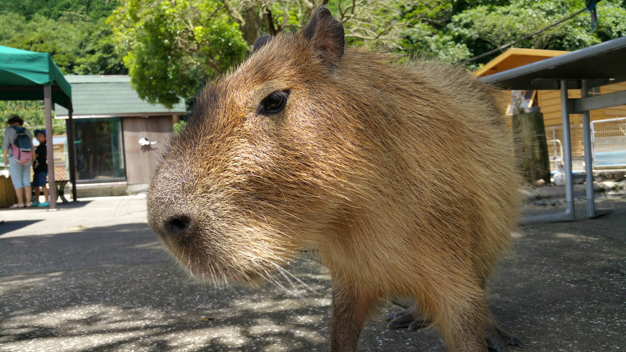 20150722_112718.jpg image