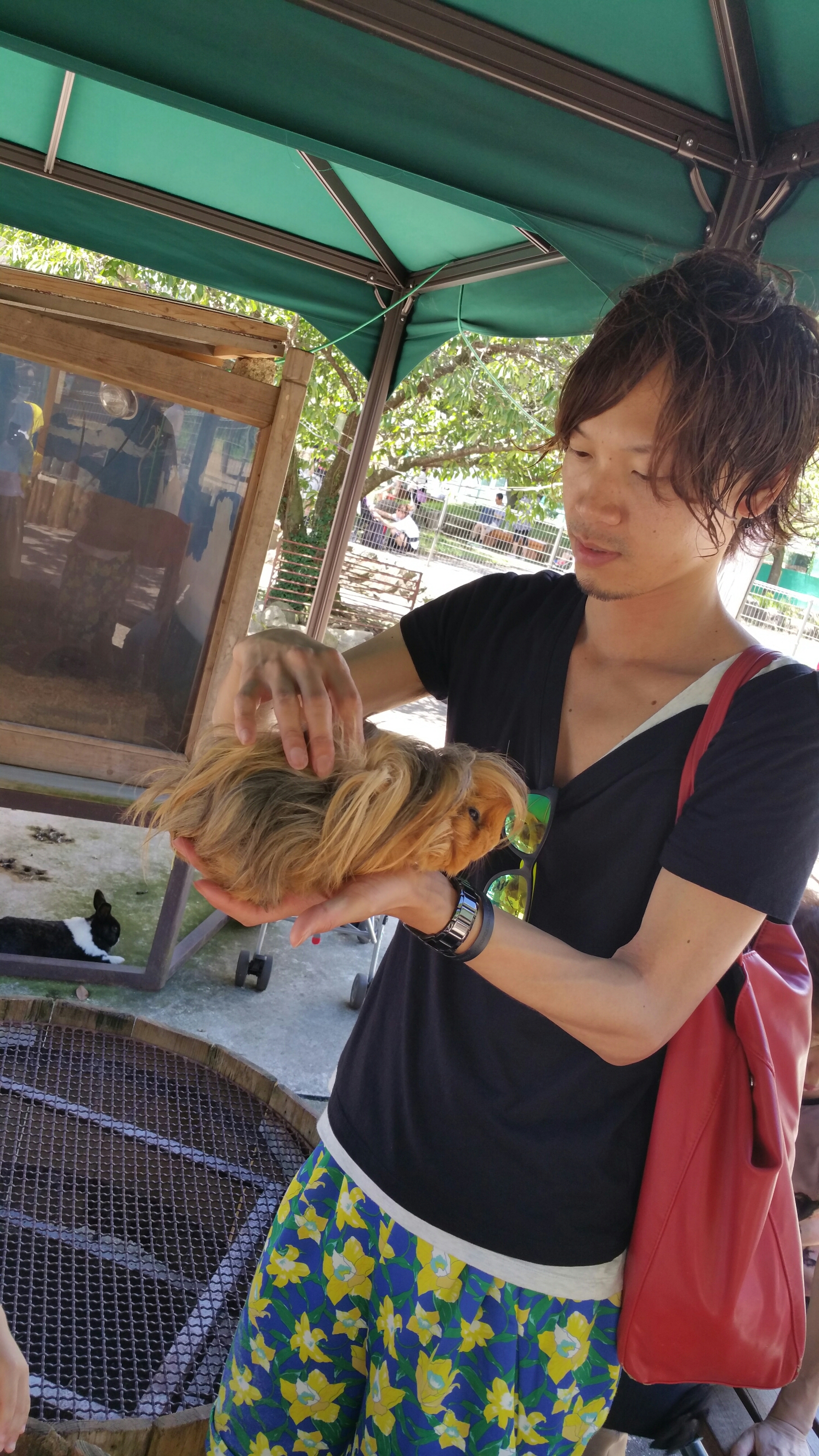 20150722_113035.jpg image