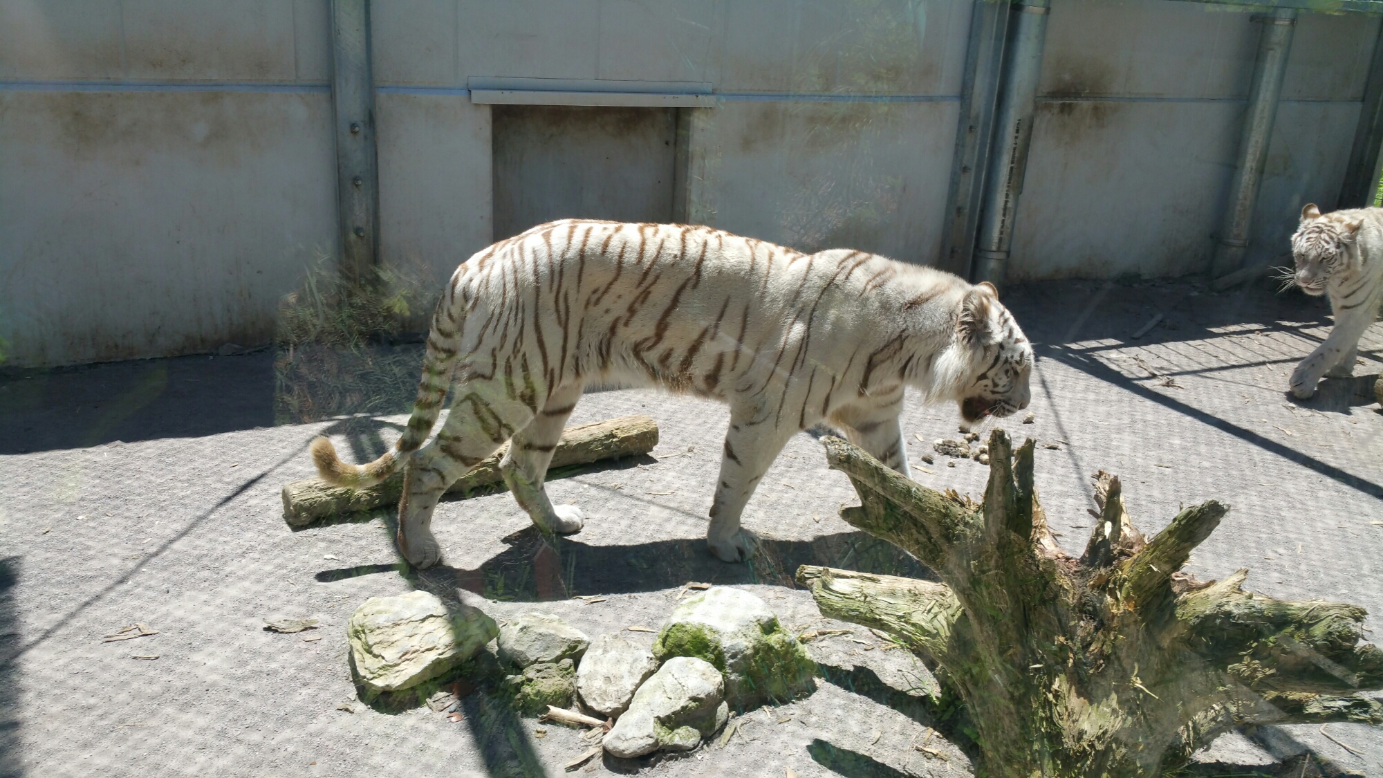 20150722_115217.jpg image