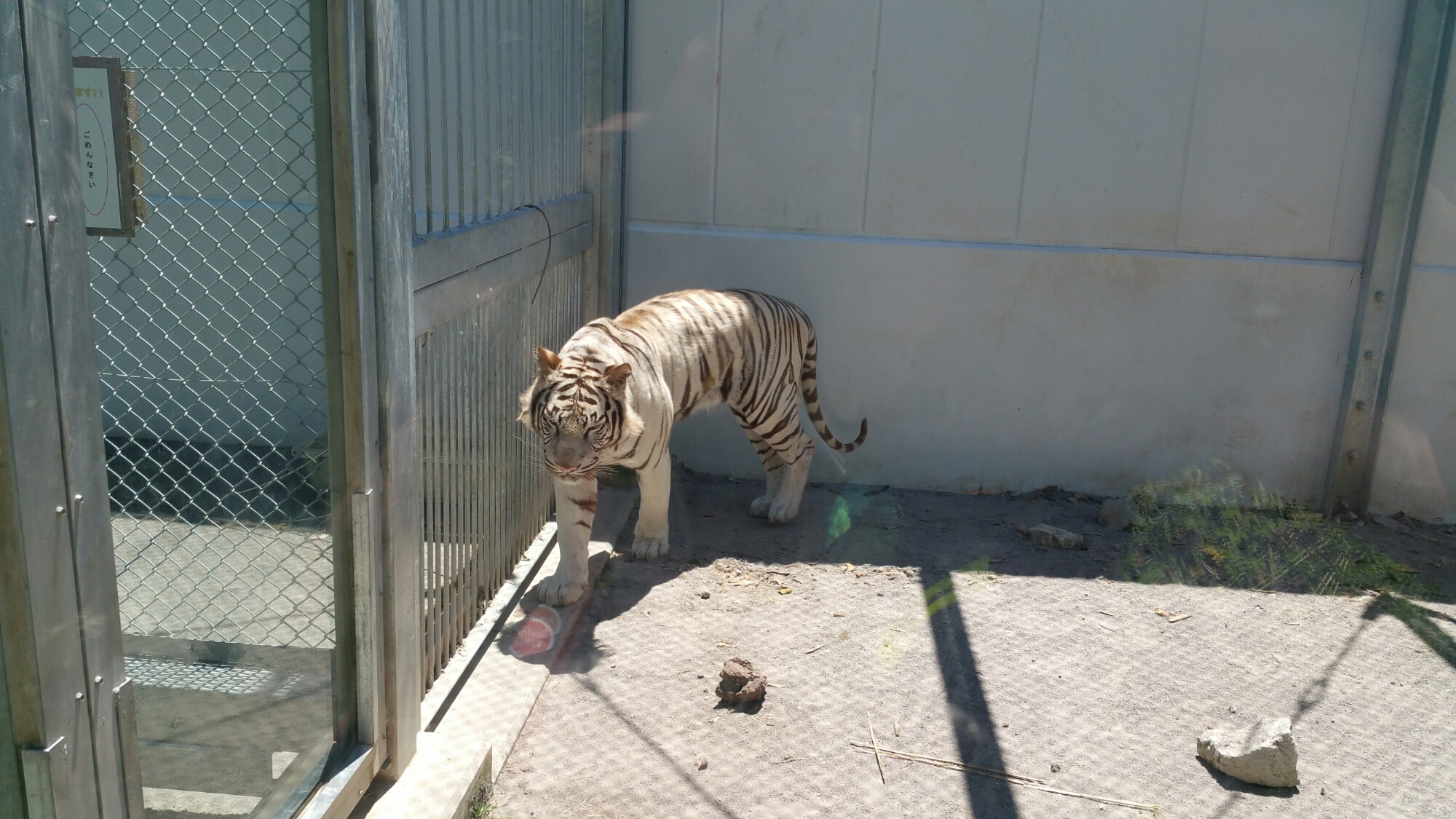 20150722_115340.jpg image