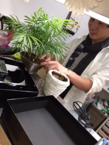さいとうさんん