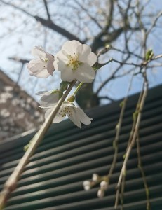 _20170327_111821