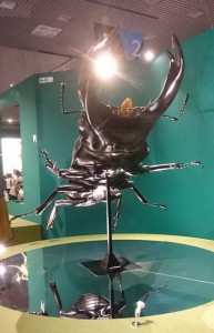 _20180819_223351