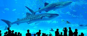 images (3)