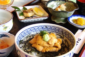 uni_sp