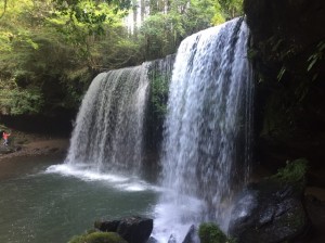 IMG_3079