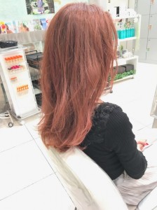 IMG_9517