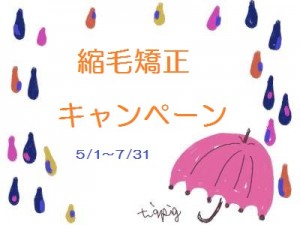 キャンペーン